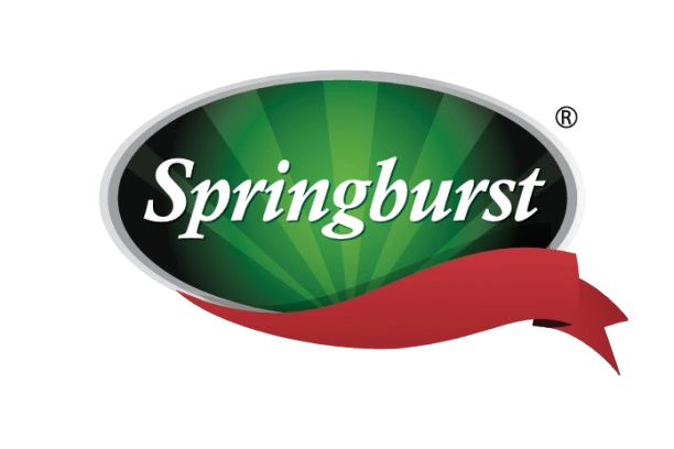 Springburst
